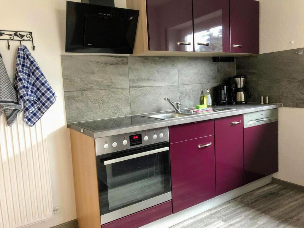 Exklusive Ferienwohnung In Einbeck, 3 Schlafzimmer Mit Balkon! Luaran gambar
